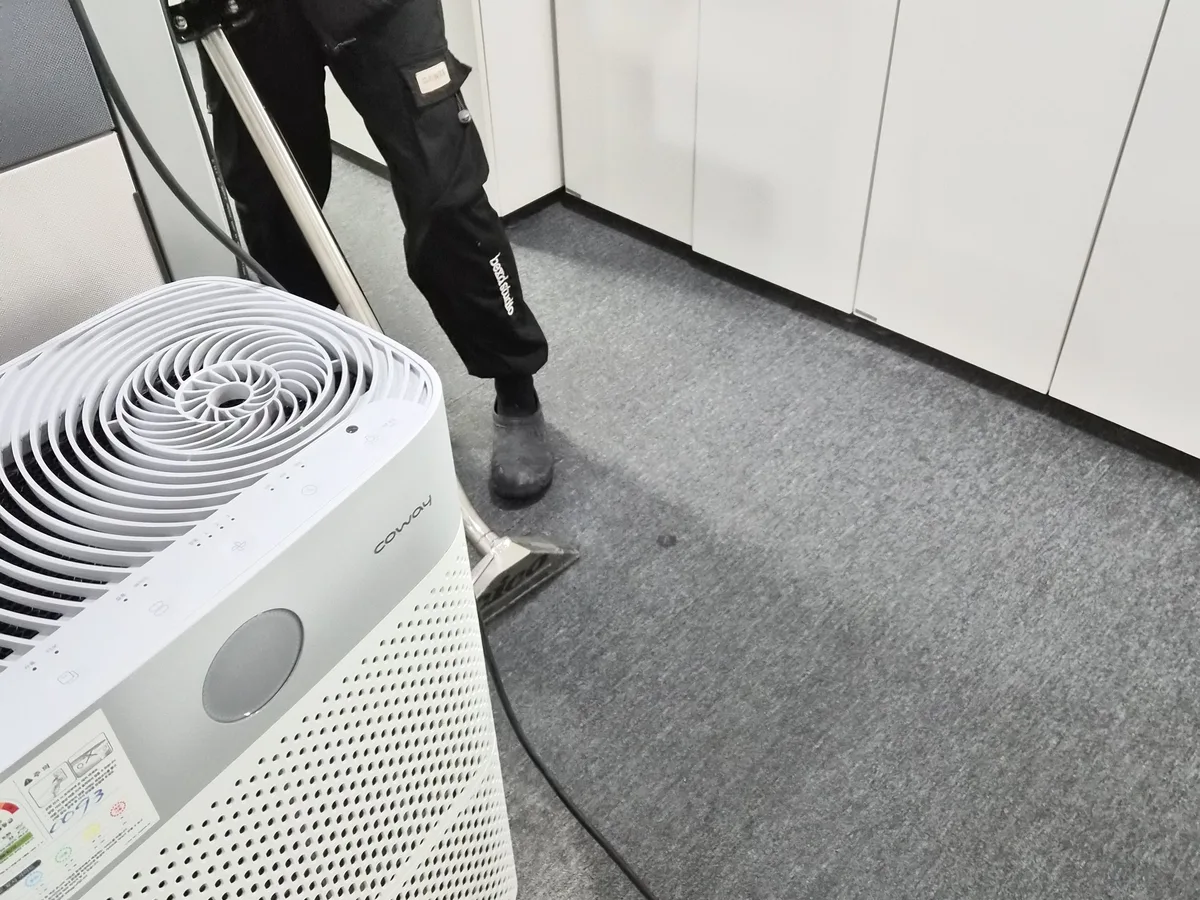 보은군 속리산면 사업장 로비·복도 카페트 바닥 위생청소 사례 - 행진크린